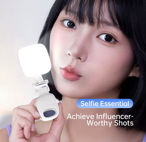 LED Portable Light