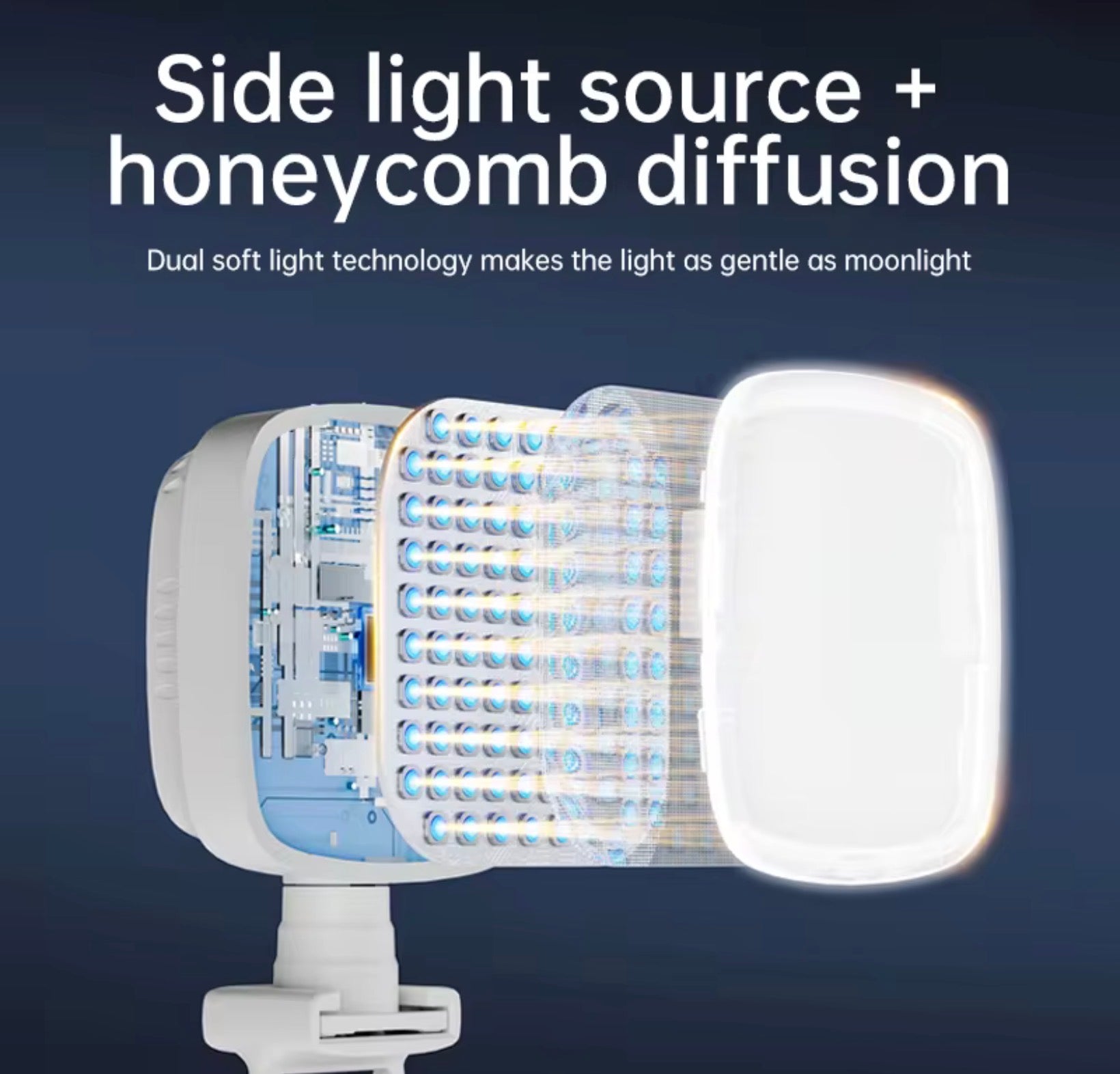 LED Portable Light